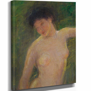 Alice Pike Barney 11" x 14" / Stretched Canvas Wrap In Shadow By Alice Pike Barney