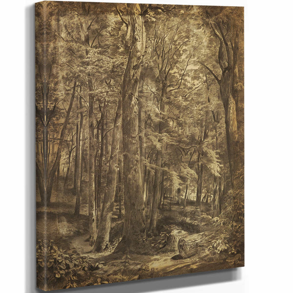 William Trost Richards In The Woods By William Trost Richards