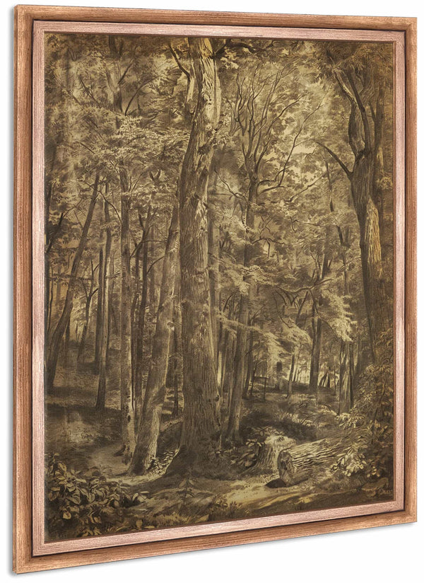 In The Woods By William Trost Richards