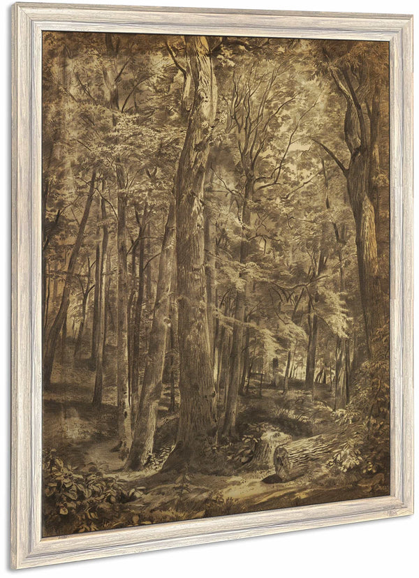 In The Woods By William Trost Richards