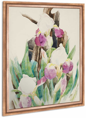 Iris By Charles Demuth