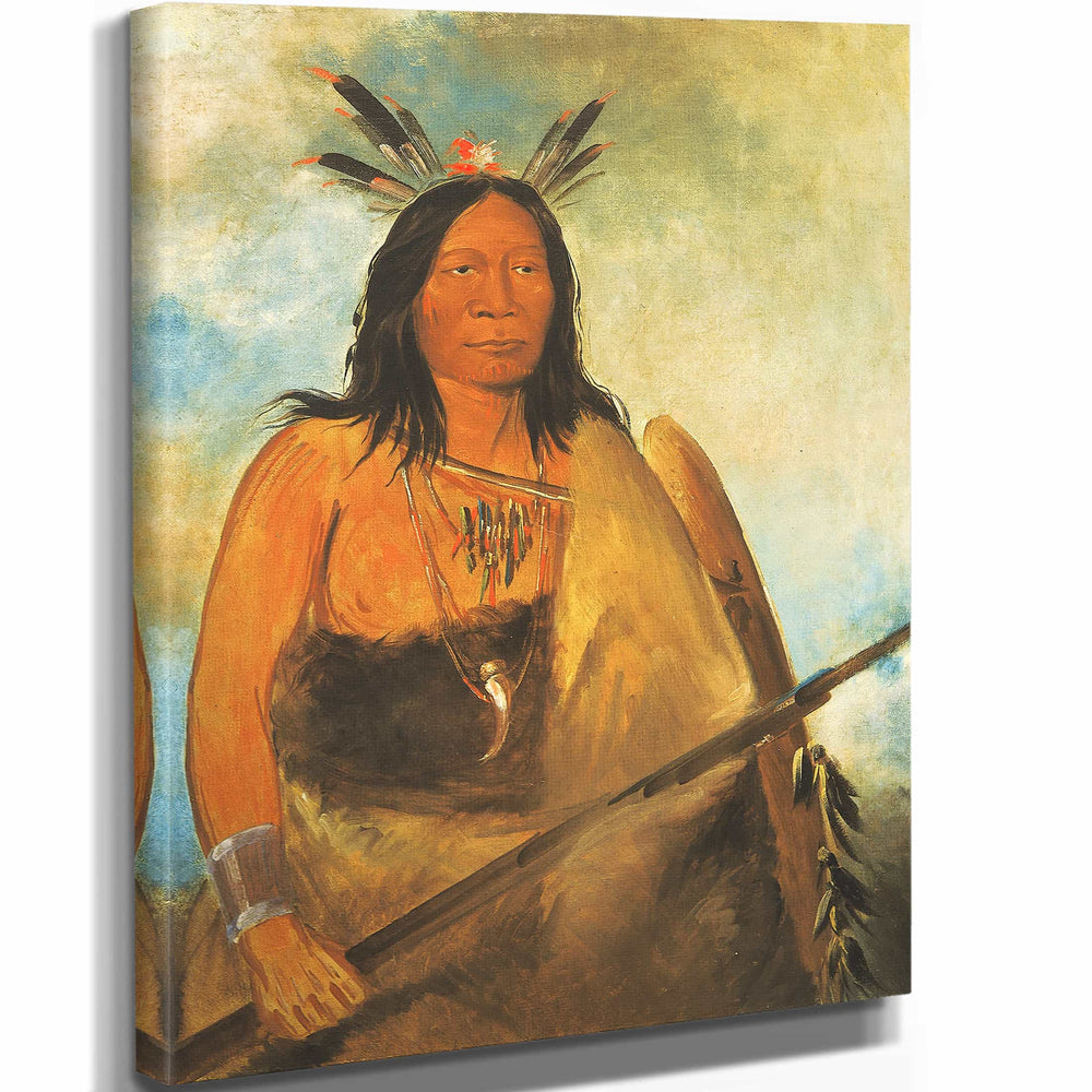 George Catlin 11" x 14" / Stretched Canvas Wrap Kots O Ko Ro Ko Hair Of The Bulls Neck A Chief By George Catlin