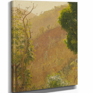 Frederic Edwin Church Landscape Iv By Frederic Edwin Church