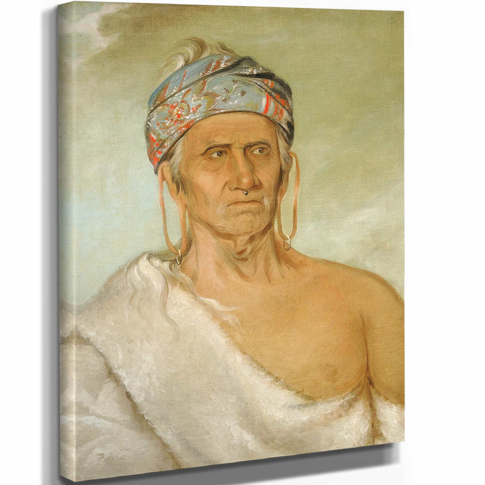 George Catlin Lay Law She Kaw Goes Up The River An Aged Chief By George Catlin