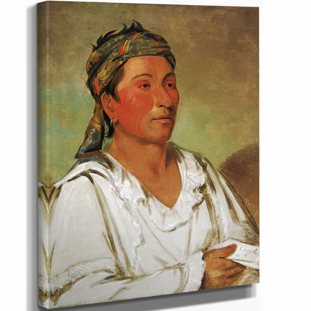 George Catlin 11" x 14" / Stretched Canvas Wrap Lay Loo Ah Pee Ai Shee Kaw Grass Bush And Blossom Semicivilized By George Catlin