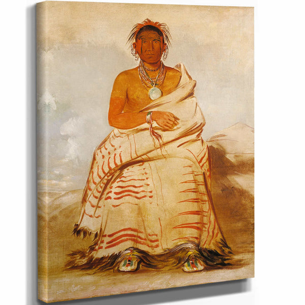 George Catlin 11" x 14" / Stretched Canvas Wrap Lhar E Tar Rushe Ill Natured Man A Skidi Pawnee By George Catlin