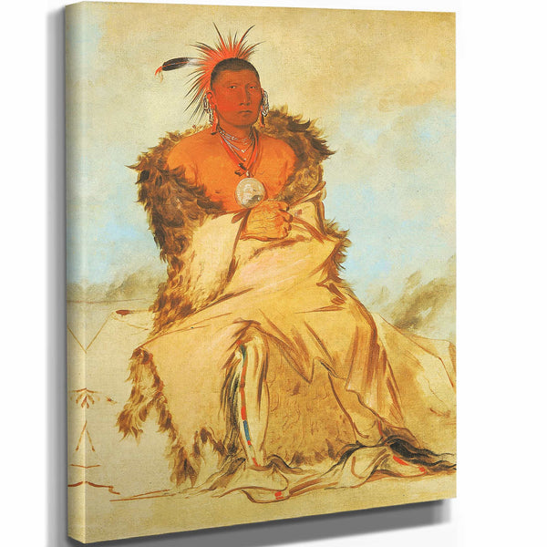 George Catlin 11" x 14" / Stretched Canvas Wrap Loo Ra Wee Re Coo Bird That Goes To War A Tapage Pawnee By George Catlin