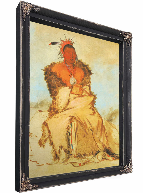 Loo Ra Wee Re Coo Bird That Goes To War A Tapage Pawnee By George Catlin