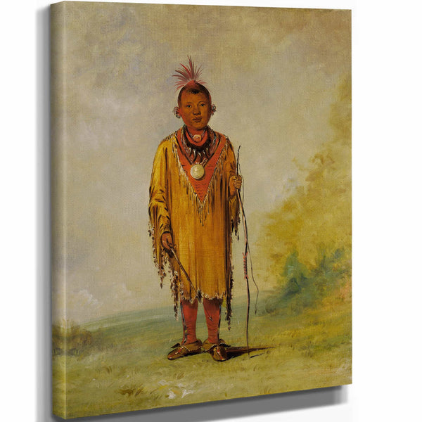 George Catlin Me Sou Wahk Deers Hair Favorite Son Of Kee O Kuk By George Catlin