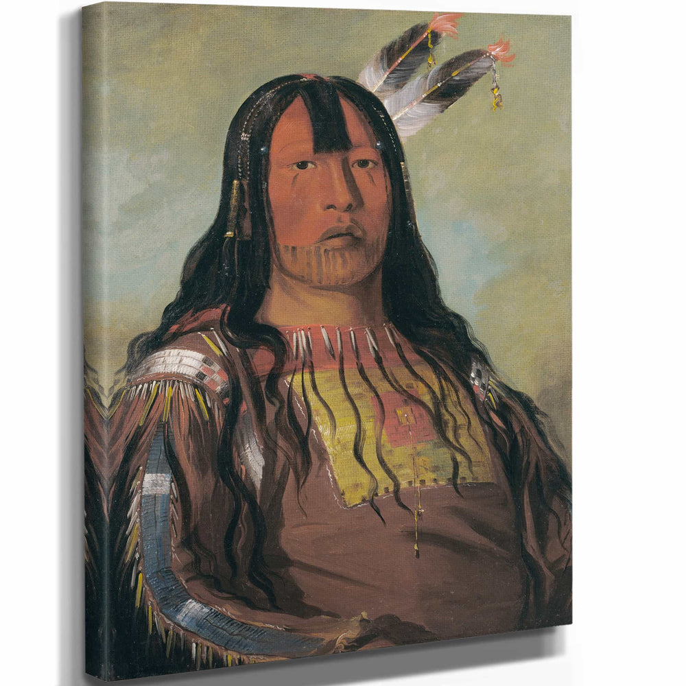 George Catlin 11" x 14" / Stretched Canvas Wrap Mix Ke Mote Skin Na Iron Horn A Warrior By George Catlin