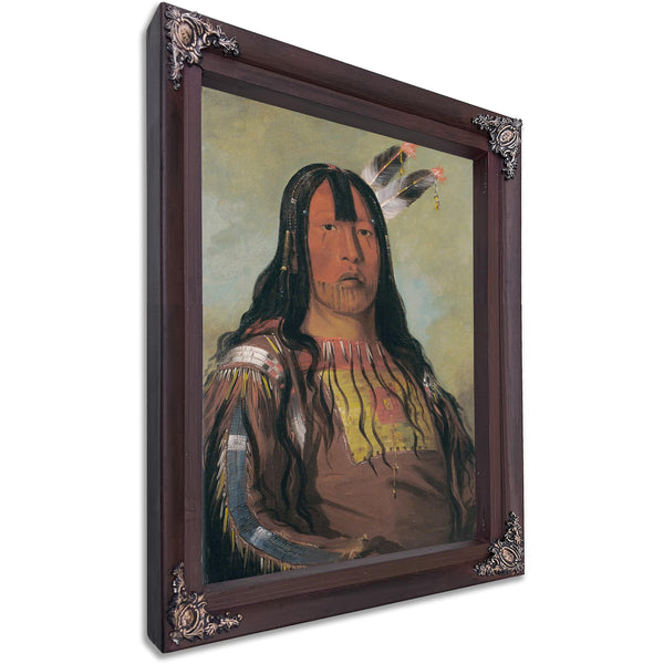 Mix Ke Mote Skin Na Iron Horn A Warrior By George Catlin