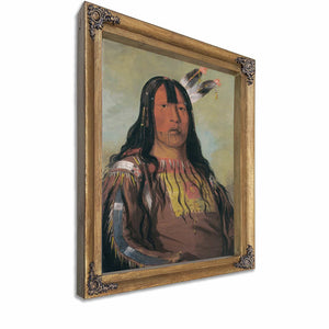 Mix Ke Mote Skin Na Iron Horn A Warrior By George Catlin