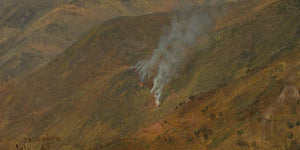 Frederic Edwin Church Mountainside With Brush Fire By Frederic Edwin Church