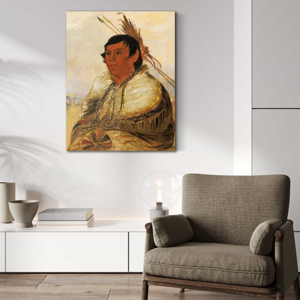 George Catlin Ni A Co Mo Fix With The Foot A Brave By George Catlin