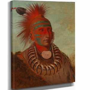 George Catlin 11" x 14" / Stretched Canvas Wrap No Ho Mun Ya One Who Gives No Attention By George Catlin