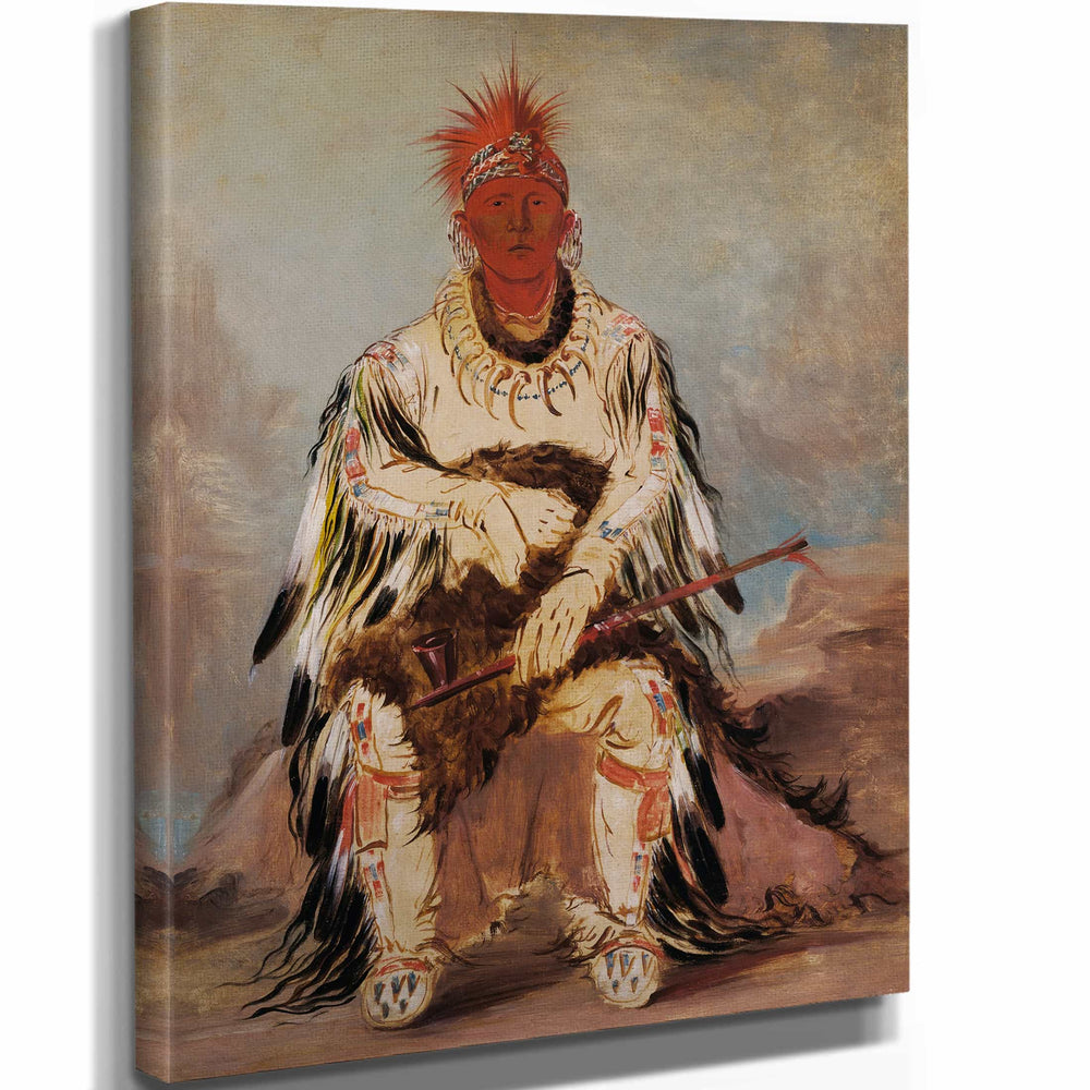 George Catlin 11" x 14" / Stretched Canvas Wrap No Way Ke Sug Gah He Who Strikes Two At Once A Brave By George Catlin