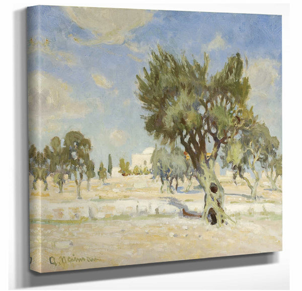 Abraham Neuman Olive Trees Near Jerusalem By Abraham Neuman