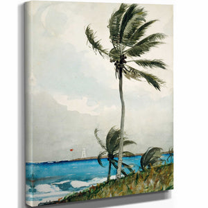 Winslow Homer Palm Tree Nassau By Winslow Homer