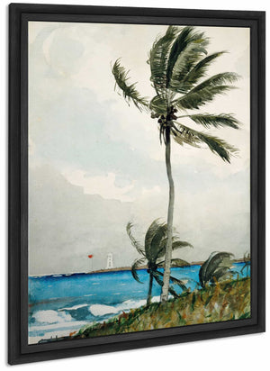 Palm Tree Nassau By Winslow Homer