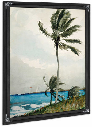 Palm Tree Nassau By Winslow Homer