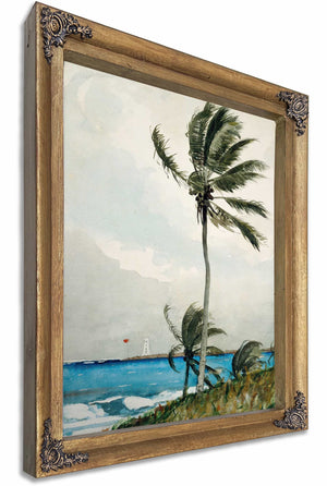 Palm Tree Nassau By Winslow Homer