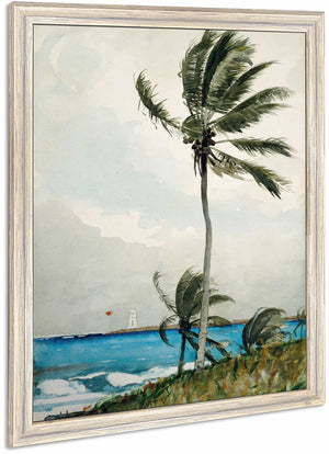 Palm Tree Nassau By Winslow Homer