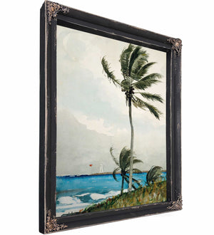 Palm Tree Nassau By Winslow Homer