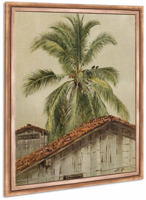 Palm Trees And Housetops Ecuador By Frederic Edwin Church