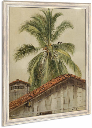 Palm Trees And Housetops Ecuador By Frederic Edwin Church