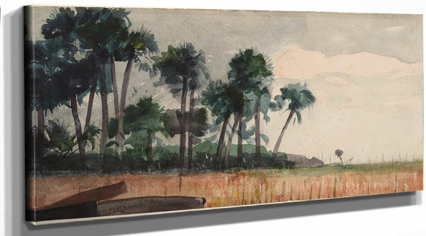 Winslow Homer Palm Trees Red By Winslow Homer