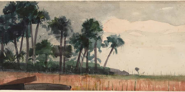 Winslow Homer Palm Trees Red By Winslow Homer