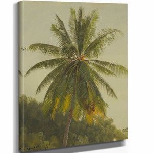 Frederic Edwin Church Palm Trees West Indies By Frederic Edwin Church