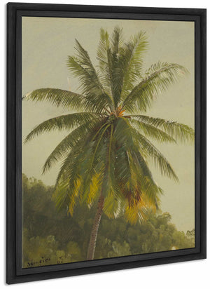 Palm Trees West Indies By Frederic Edwin Church