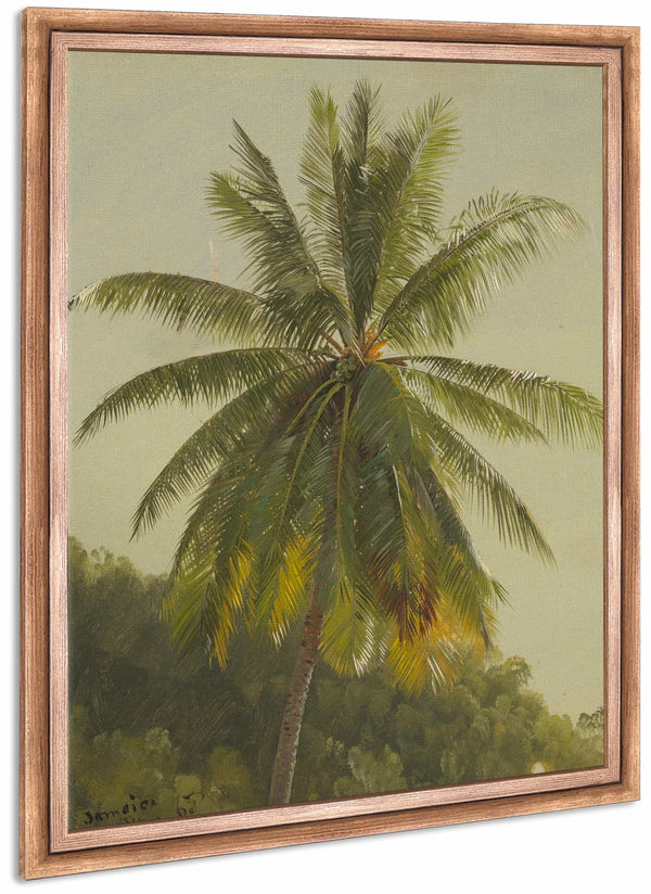 Palm Trees West Indies By Frederic Edwin Church