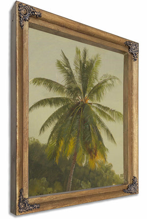 Palm Trees West Indies By Frederic Edwin Church