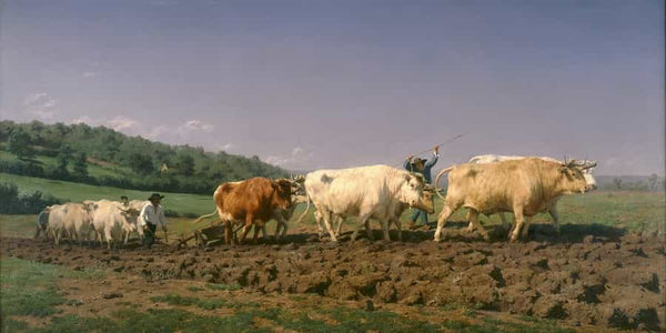 Rosa Bonheur Ploughing In Nevers By Rosa Bonheur