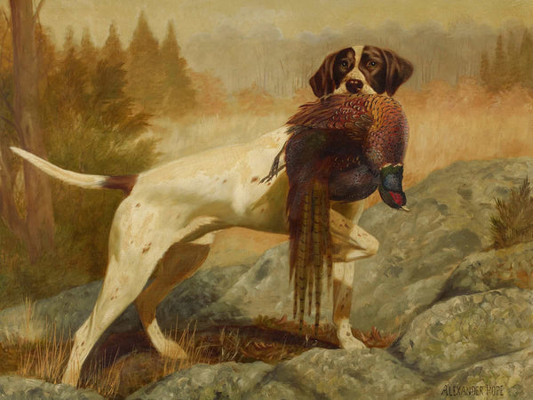 Alexander Pope Jr Pointer With Pheasant By Alexander Pope Jr