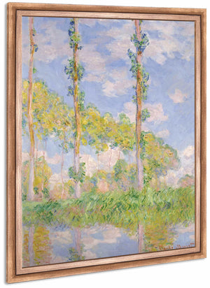 Poplars In The Sun By Claude Monet