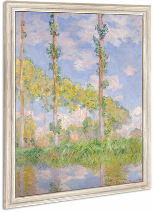 Poplars In The Sun By Claude Monet