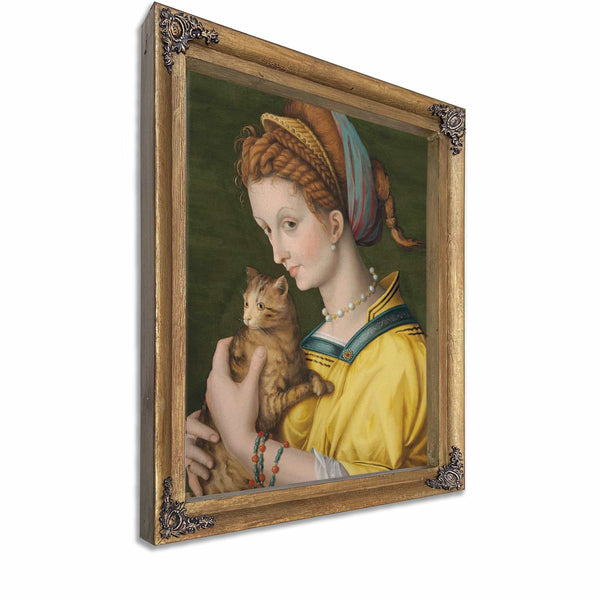 Portrait Of A Young Lady Holding A Cat By Bacchiacca