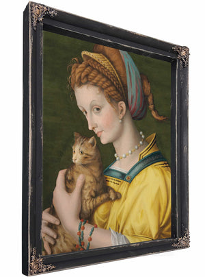 Portrait Of A Young Lady Holding A Cat By Bacchiacca