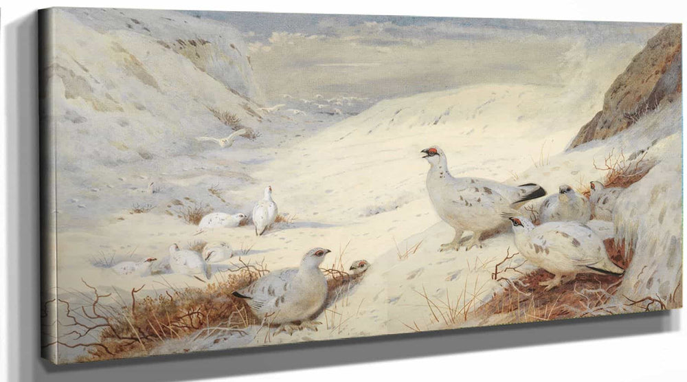 Archibald Thorburn Ptarmigan In Winter Plumage Signed And Dated Archibald Thorburn 1899 By Archibald Thorburn