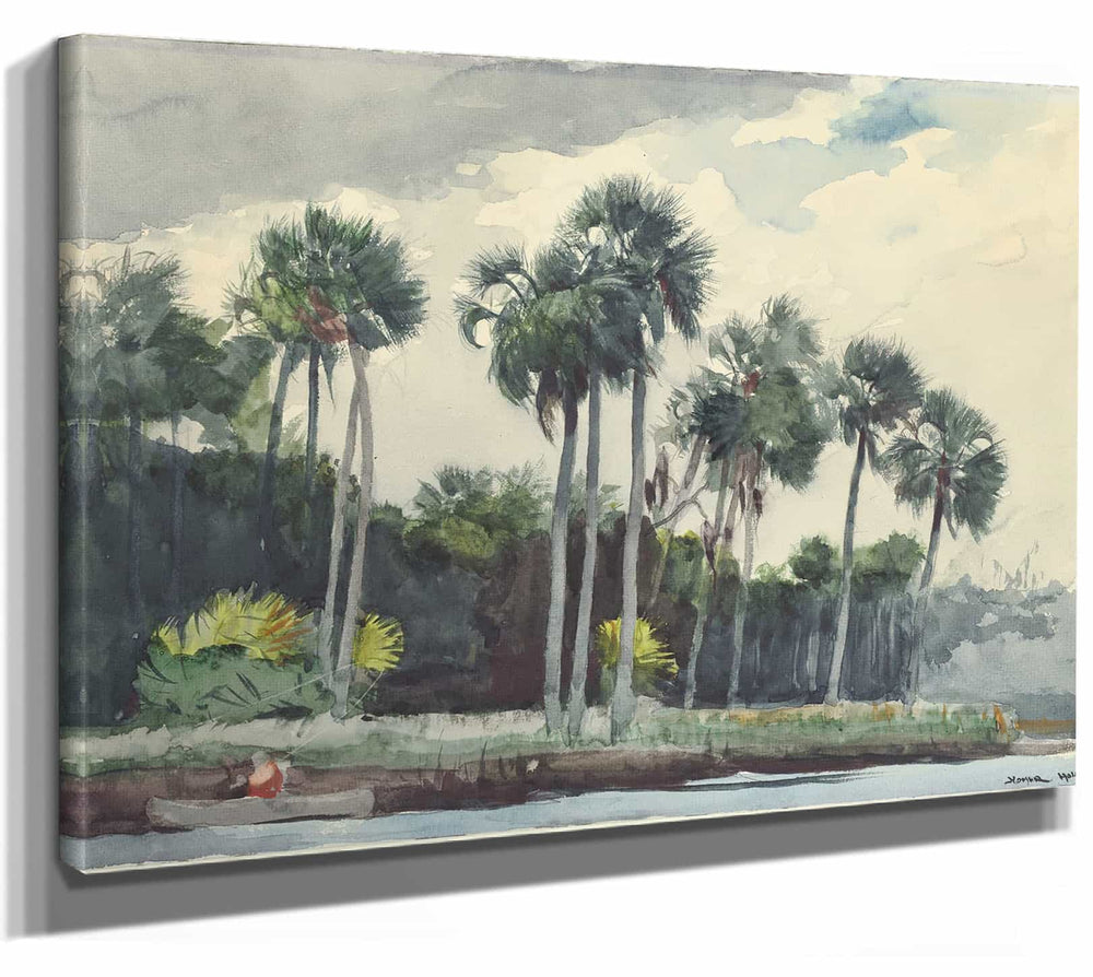 Winslow Homer 14" x 11" / Stretched Canvas Wrap Red Shirthomosassa Florida By Winslow Homer