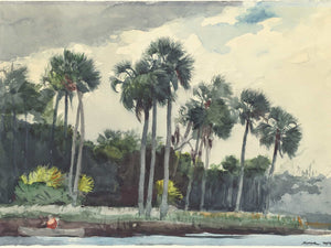 Winslow Homer Red Shirthomosassa Florida By Winslow Homer