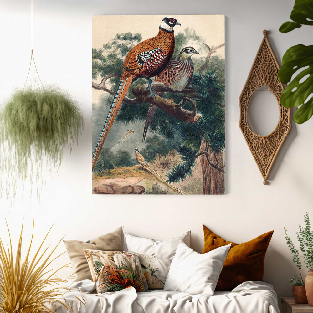 Joseph Wolf Reeves Pheasant By Joseph Wolf