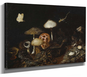 Reptiles Mushrooms And Butterflies By Otto Marseus Van Schrieck