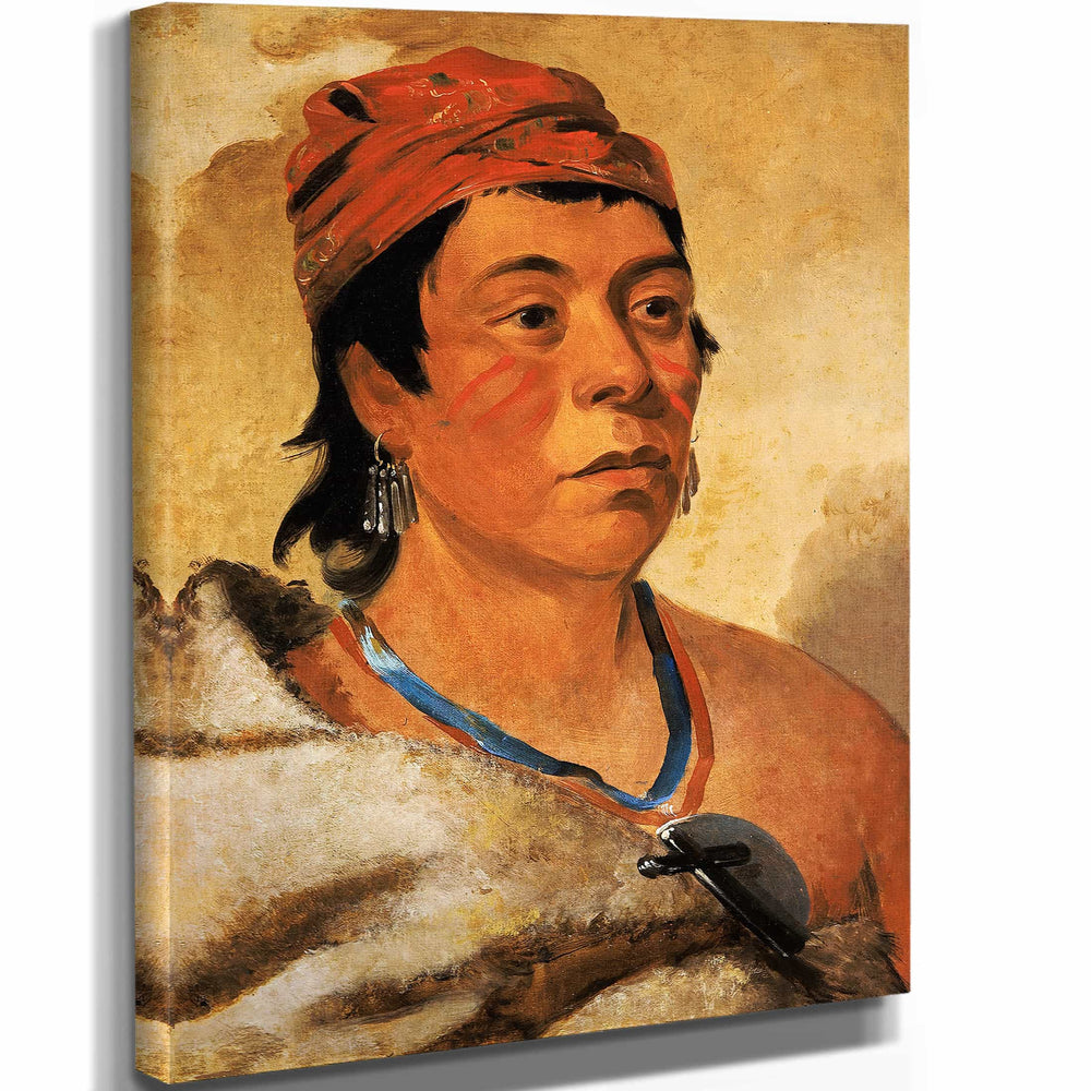 George Catlin 11" x 14" / Stretched Canvas Wrap Round Island A Warrior By George Catlin