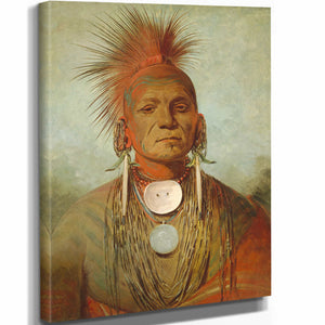 George Catlin 11" x 14" / Stretched Canvas Wrap See Non Ty A An Iowa Medicine Man By George Catlin