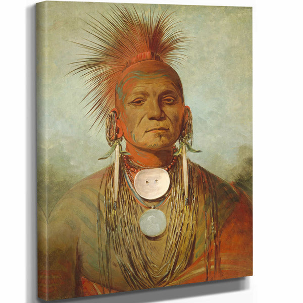 See Non Ty A An Iowa Medicine Man By George Catlin