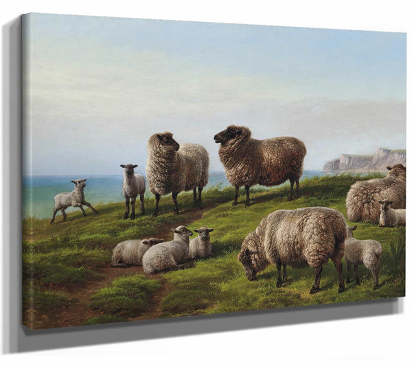 Charles Jones Sheep Grazing On A Headland By Charles Jones